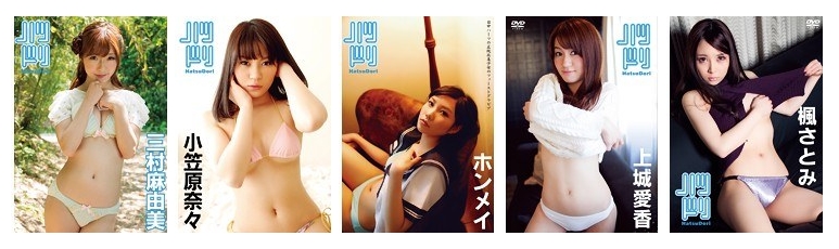 ハツドリ グラビア・アイドル動画 シリーズについて