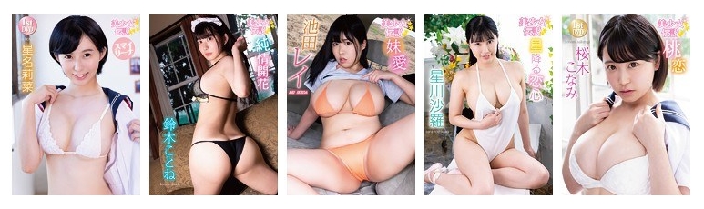 美少女伝説 グラビア・アイドル動画 シリーズについて