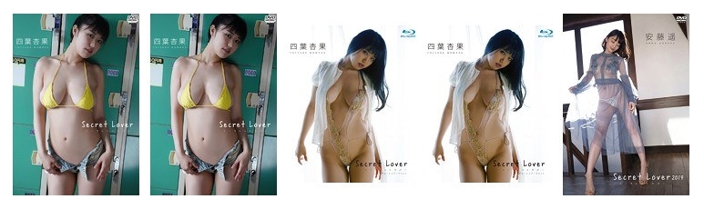 Secret Lover グラビア・アイドル動画 シリーズについて