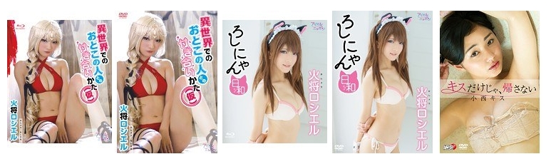 アイドルニッポン グラビア・アイドル動画 シリーズについて