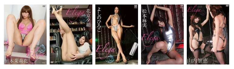 エレガ グラビア・アイドル動画 シリーズについて
