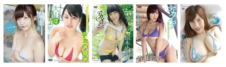 デカメロン グラビア・アイドル動画 シリーズについて